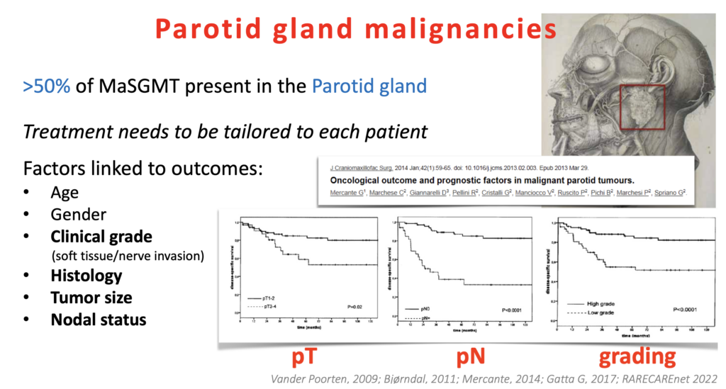 Professor Dottor Giuseppe Mercante tumori delle ghiandole salivari, Webinar AUORL per specializzandi